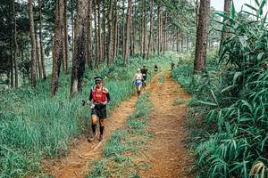 BIB: 
                            <button type="button" onclick="openModal(25681896)" class="btn btn-primary btn-sm float-right btn-popup" data-toggle="modal" data-target=".modal-high-quality">
                        <i class="fas fa-shopping-cart"></i> Add to Cart
                    </button>
                                            <button type="button" onclick="isThisMe(25681896, true)" class="btn btn-success btn-sm float-right btn-popup btn-isme hidden" data-toggle="tooltip" data-placement="bottom" title="นี่คือรูปของคุณใช่ไหม คลิกที่นี่เพื่อเอาเข้าอัลบั้ม">
                        <i class="fas fa-plus"></i> Add to album
                    </button>
                    <button type="button" onclick="isThisMe(25681896, false)" class="btn btn-warning btn-sm float-right btn-popup btn-isnotme hidden">
                        <i class="fas fa-ban"></i> Remove from album
                    </button>